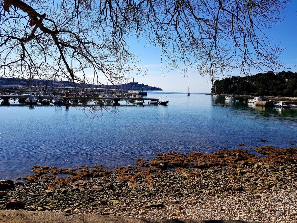 Martin Apartments Rovinj Bagian luar foto